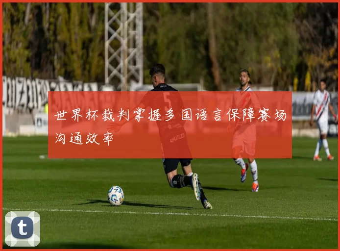 世界杯裁判掌握多国语言保障赛场沟通效率