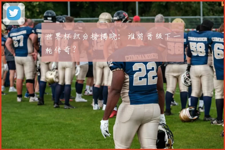 世界杯积分榜揭晓:谁将晋级下一轮传奇?