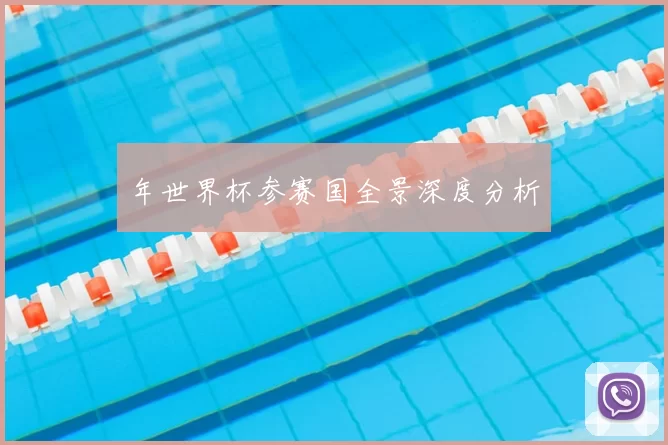 年世界杯参赛国全景深度分析