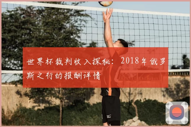 世界杯裁判收入探秘:2018年俄罗斯之行的报酬详情