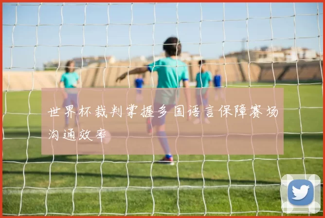 世界杯裁判掌握多国语言保障赛场沟通效率