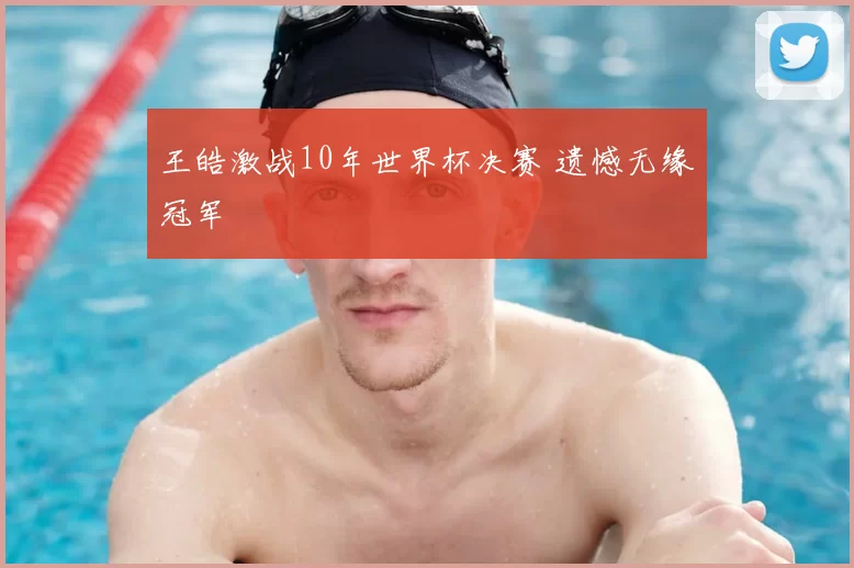 王皓激战10年世界杯决赛 遗憾无缘冠军