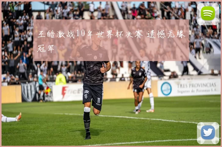王皓激战10年世界杯决赛 遗憾无缘冠军