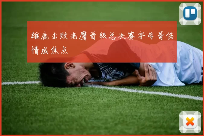 雄鹿击败老鹰晋级总决赛字母哥伤情成焦点