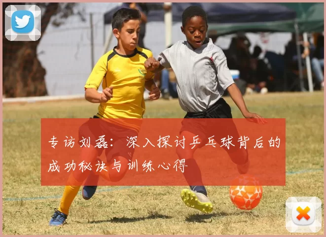专访刘磊:深入探讨乒乓球背后的成功秘诀与训练心得