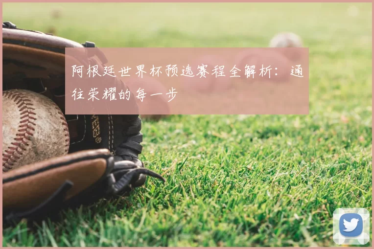 阿根廷世界杯预选赛程全解析:通往荣耀的每一步