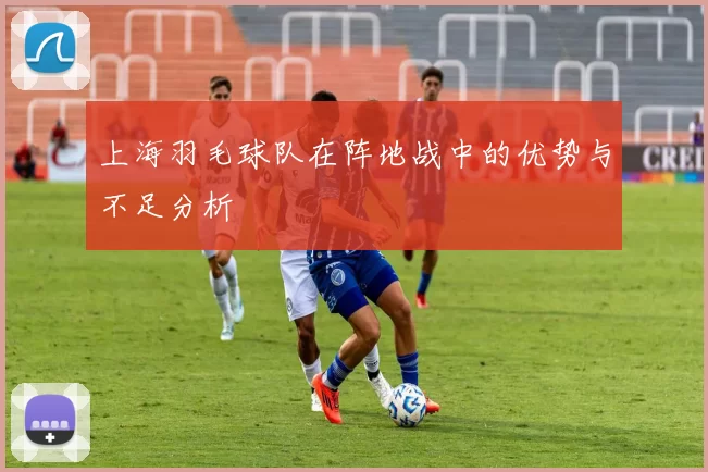 上海羽毛球队在阵地战中的优势与不足分析