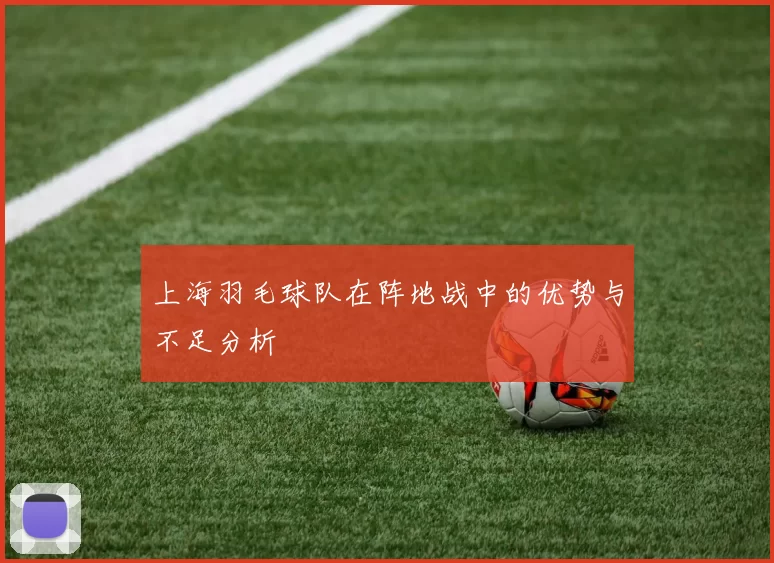 上海羽毛球队在阵地战中的优势与不足分析