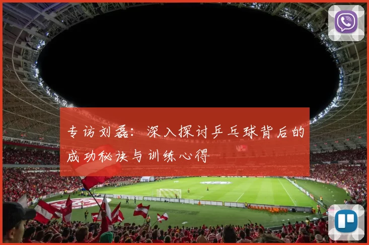 专访刘磊：深入探讨乒乓球背后的成功秘诀与训练心得